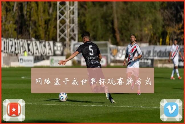 网络盒子成世界杯观赛新方式