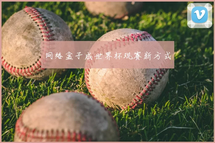网络盒子成世界杯观赛新方式