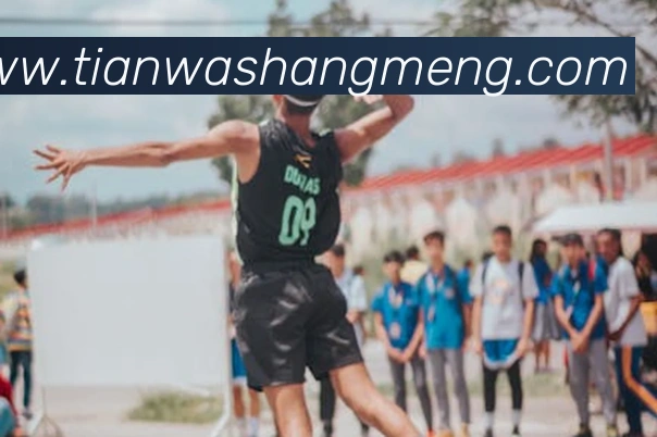 世界杯官网中文版平台生态图